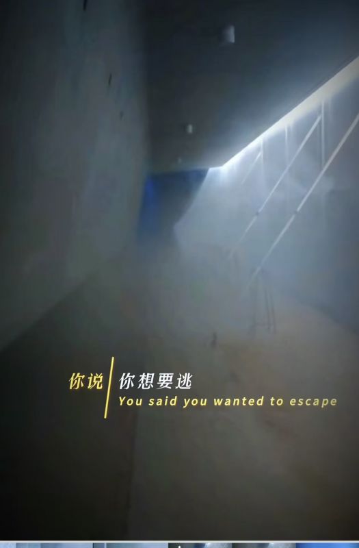 「箱梁喷淋养护DJ版」 水雾脉冲，箱梁律动。 硬核养护，节奏封神。 通瑞出品，必属精品。